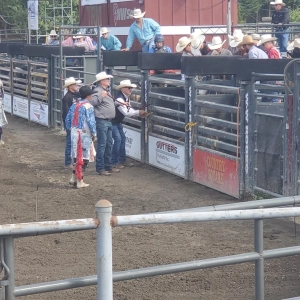 enumclaw-rodeo-bull-riding-chute-gutters-by-keith-sponsor